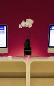 Туры в отель Beijing Xinqiao Hotel Туры в отель Beijing Xinqiao Hotel