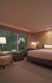 Туры в отель Conrad Hong Kong Туры в отель Conrad Hong Kong