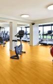 Туры в отель Sheraton Montreal Airport Hotel Туры в отель Sheraton Montreal Airport Hotel