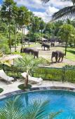 Туры в отель Mason Elephant Lodge Туры в отель Mason Elephant Lodge