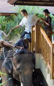 Туры в отель Mason Elephant Lodge Туры в отель Mason Elephant Lodge