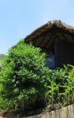Туры в отель Koh Tao Heights Pool Villas Туры в отель Koh Tao Heights Pool Villas
