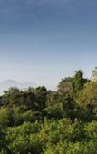 Туры в отель Pande Homestay Туры в отель Pande Homestay