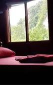 Туры в отель Phanom Bencha Mountain Resort Туры в отель Phanom Bencha Mountain Resort