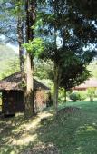 Туры в отель Phanom Bencha Mountain Resort Туры в отель Phanom Bencha Mountain Resort