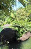 Туры в отель Phanom Bencha Mountain Resort Туры в отель Phanom Bencha Mountain Resort