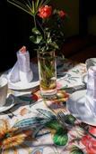 Туры в отель Riad Gallery 49 Туры в отель Riad Gallery 49