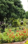 Туры в отель Ban Rai Tin Thai Ngarm Eco Lodge Туры в отель Ban Rai Tin Thai Ngarm Eco Lodge