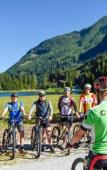 Туры в отель Alpenrose Apartments Туры в отель Alpenrose Apartments