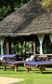 Туры в отель Arusha Safari Lodge Туры в отель Arusha Safari Lodge