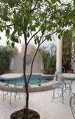 Туры в отель Riad Marelia Туры в отель Riad Marelia