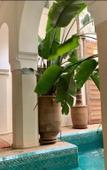 Туры в отель Riad Palacio de las Especias Туры в отель Riad Palacio de las Especias
