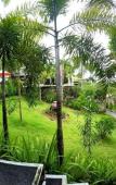 Туры в отель The Eyes Villas Туры в отель The Eyes Villas