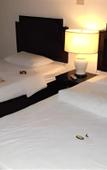 Туры в отель Rim Ping Guesthouse Туры в отель Rim Ping Guesthouse