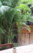 Туры в отель Trekker Camp Chiang Mai - Hostel Туры в отель Trekker Camp Chiang Mai - Hostel