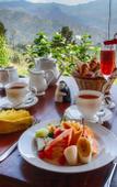 Туры в отель Madulkelle Tea and Eco Lodge Туры в отель Madulkelle Tea and Eco Lodge