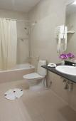 Туры в отель Golden Oasis Туры в отель Golden Oasis