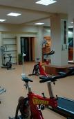 Туры в отель Golden Oasis Туры в отель Golden Oasis