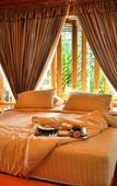 Туры в отель 32 Coffee Hill & Resort Туры в отель 32 Coffee Hill & Resort