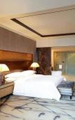 Туры в отель Sheraton Xi'an North City Hotel Туры в отель Sheraton Xi'an North City Hotel