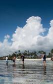 Туры в отель Matemwe Retreat - All Inclusive Туры в отель Matemwe Retreat - All Inclusive