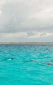 Туры в отель Matemwe Retreat - All Inclusive Туры в отель Matemwe Retreat - All Inclusive