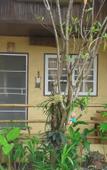 Туры в отель Baan Bamboo Resort Туры в отель Baan Bamboo Resort