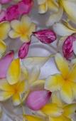 Туры в отель Sandi Agung Villa Туры в отель Sandi Agung Villa