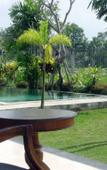 Туры в отель Villa Mandi Ubud Туры в отель Villa Mandi Ubud