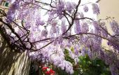 Туры в отель Locanda Orchidea - B&B Туры в отель Locanda Orchidea - B&B