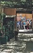 Туры в отель Dar Marhaba Туры в отель Dar Marhaba