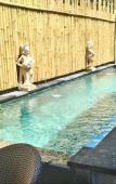 Туры в отель Nyoman Badri Homestay Туры в отель Nyoman Badri Homestay