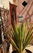 Туры в отель Riad Tara Туры в отель Riad Tara