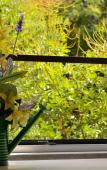 Туры в отель Ottaviano Guest House Туры в отель Ottaviano Guest House