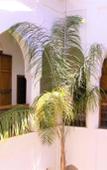 Туры в отель Riad Miski Туры в отель Riad Miski