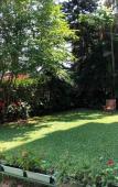 Туры в отель Sharon Inn Туры в отель Sharon Inn