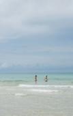 Туры в отель Nature Beach Resort Туры в отель Nature Beach Resort