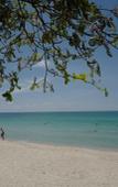 Туры в отель Nature Beach Resort Туры в отель Nature Beach Resort
