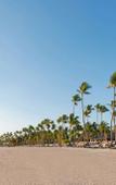 Туры в отель Occidental Punta Cana - All Inclusive Туры в отель Occidental Punta Cana - All Inclusive