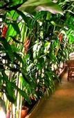 Туры в отель T-Room Guest House Туры в отель T-Room Guest House