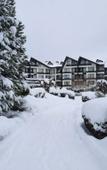 Туры в отель Aspen Resort Golf & Ski Туры в отель Aspen Resort Golf & Ski