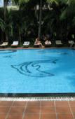 Туры в отель Sunrise Resort Туры в отель Sunrise Resort