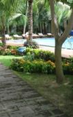 Туры в отель Sunrise Resort Туры в отель Sunrise Resort