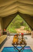 Туры в отель Mahoora - Wilpattu by Eco Team Туры в отель Mahoora - Wilpattu by Eco Team