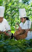 Туры в отель Hacienda Chichen Resort & Yaxkin Spa Туры в отель Hacienda Chichen Resort & Yaxkin Spa