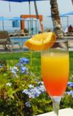 Туры в отель Rosita Hotel Туры в отель Rosita Hotel