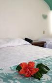 Туры в отель Rosita Hotel Туры в отель Rosita Hotel