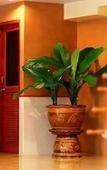 Туры в отель Cozy Villa Туры в отель Cozy Villa