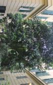 Туры в отель Rovati Guest House Туры в отель Rovati Guest House