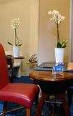 Туры в отель Rovati Guest House Туры в отель Rovati Guest House